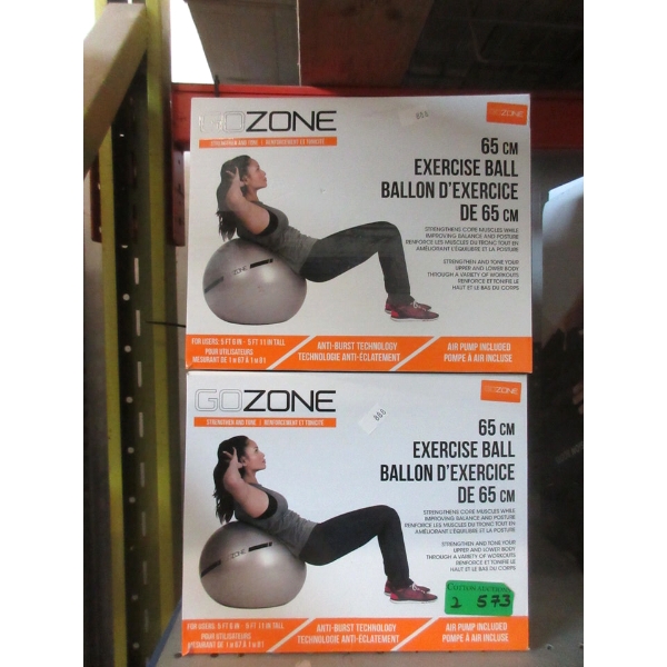 2 Go Zone 65 cm Exercise Balls with Air Pumps