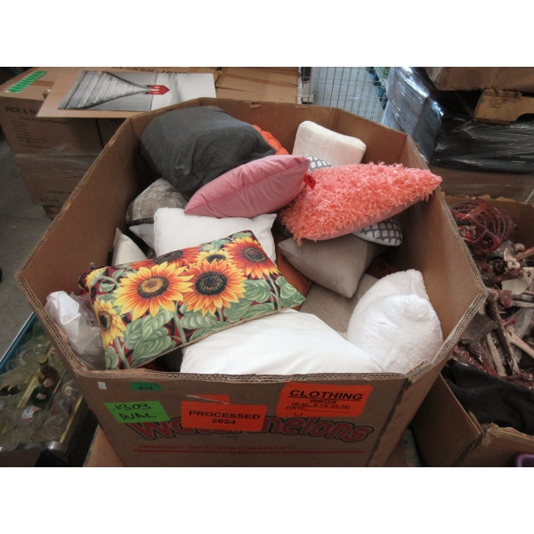 Skid of Overstock & Customer Return Throw Pillows