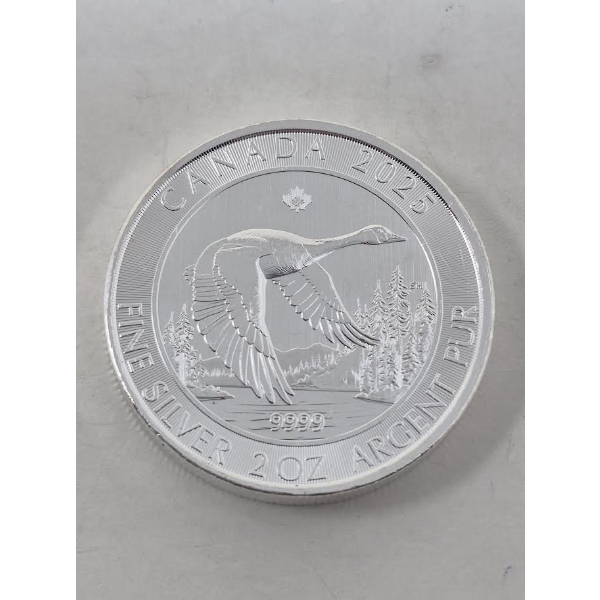 2 Oz .9999 Silver 2025 Canada Goose Coin 