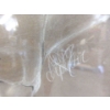 Image 2 : Original Ashley Carpenter Pastel of Cat Skull 