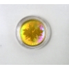 Image 2 : RARE 1/4 Oz .99999 Fine Gold 2020 Hologram Maple Leaf Coin 