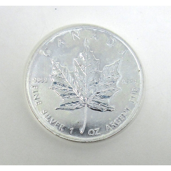 1 Oz .9999 Silver 2010 Maple Leaf Coin 