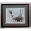 Image 1 : Variety Club Robert Bateman Framed Print