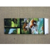 Image 1 : 3 M of New 100% Cotton Fabric - 44" Wide