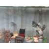 Image 2 : Shelf Lot of Figurines & Decorative Items