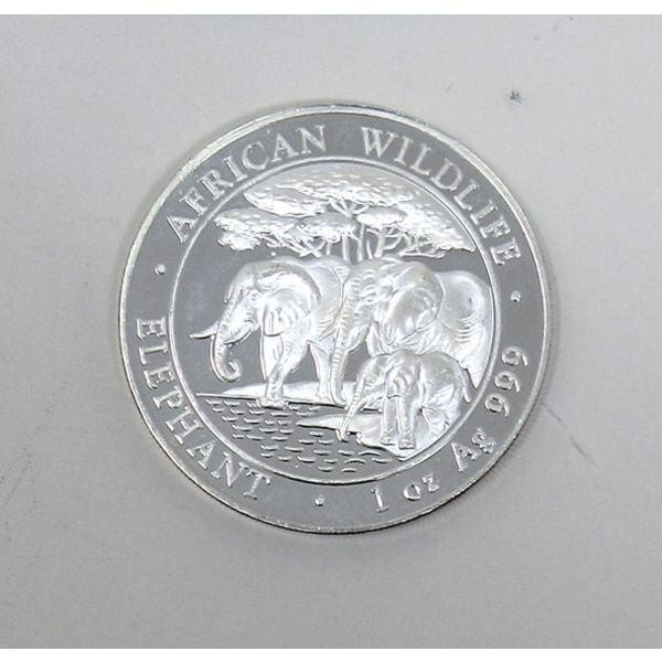 1 Oz .999 Silver 2013 African Wildlife Elephant Coin 