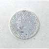 Image 2 : 1 Oz .999 Silver 2023 Britannia Coin 