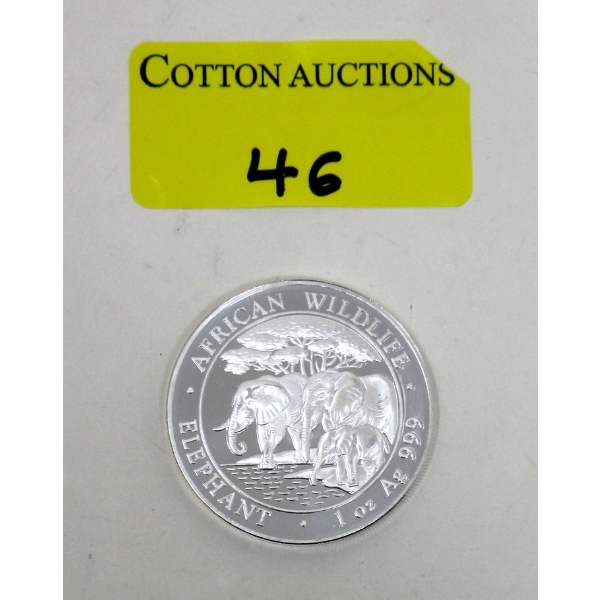 1 Oz .999 Silver 2013 African Wildlife Elephant Coin 