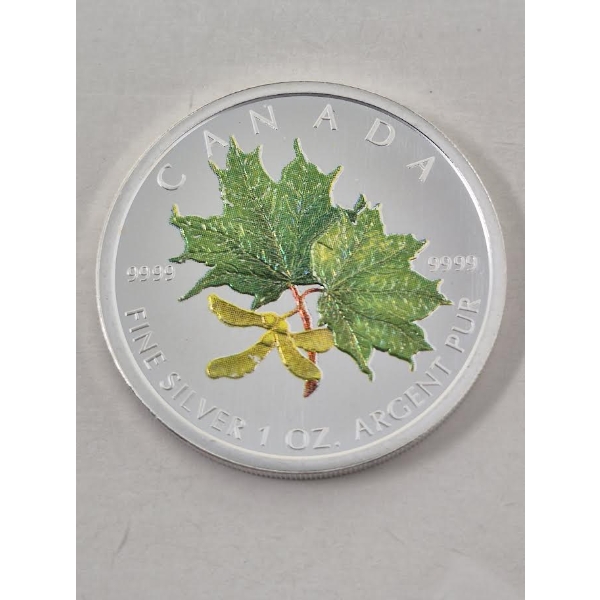 1 Oz .9999 Silver 2002 Canada Colorized Maple Leaves Coin 