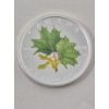 Image 1 : 1 Oz .9999 Silver 2002 Canada Colorized Maple Leaves Coin 