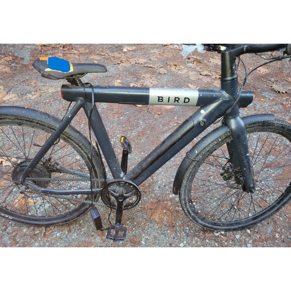 Black Bird Electric Bicycle