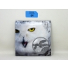Image 1 : 15.87 Gram .9999 Silver Snowy Owl $50 Coin 