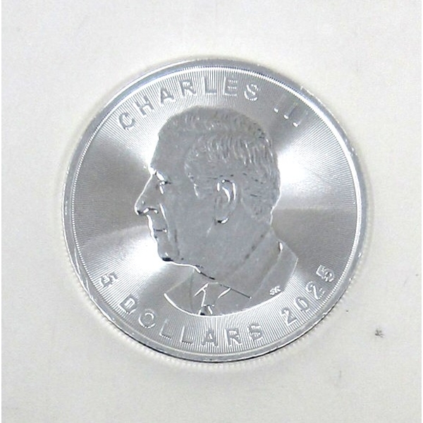 1 Oz 2025 Canada Maple Leaf .9999 Silver Coin 