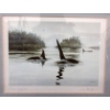 Image 2 : Don Li-Leger Print - "The Orcas" 