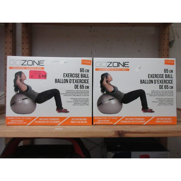 2 Go Zone 65 cm Exercise Balls with Air Pumps