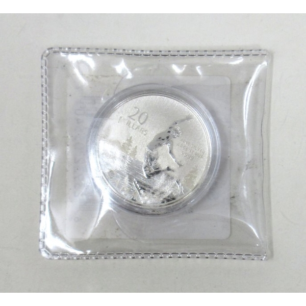 .9999 Silver 2014 Summertime $20 Coin 