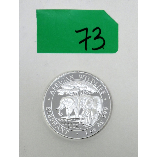 1 Oz .999 Silver 2013 African Wildlife Elephant Coin 