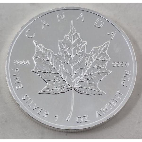 1 Oz .9999 Silver 2013 Canada Maple Leaf Coin 