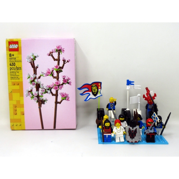 13 Minifigs & 1 New LEGO Building Set