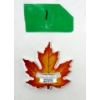 Image 1 : 1 Oz .9999 Silver 2016 Canada Colorful Maple Leaf Coin 