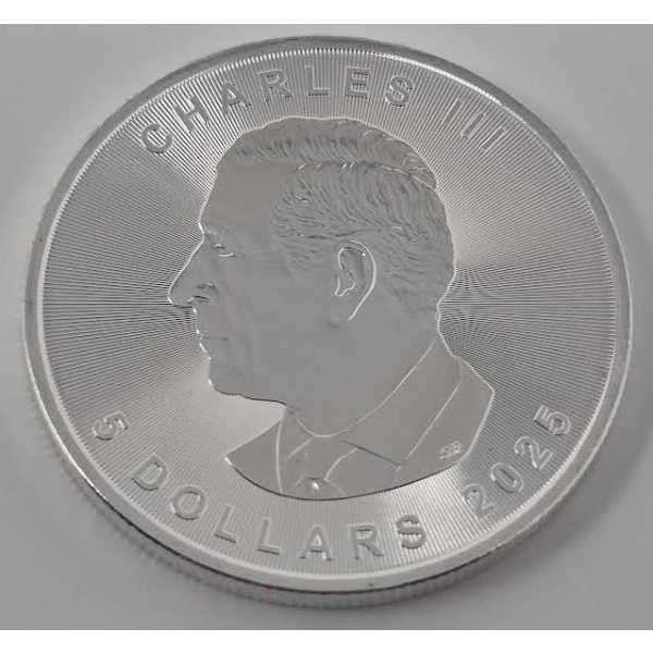 1 Oz .9999 Silver 2025 Canada Maple Leaf Coin 
