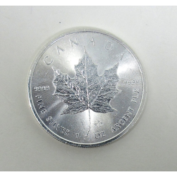 1 Oz .9999 Silver 2014 Maple Leaf Coin 