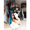Image 1 : Cupping Set & 2 Totes of Dolls and Figurines