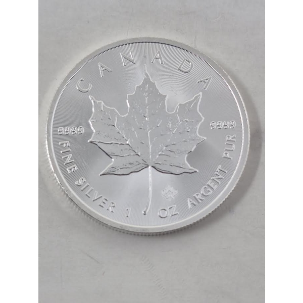 1 Oz .9999 Silver 2019 Canada Maple Leaf Coin 
