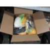 Image 1 : Box of Assorted New Children's Costumes 