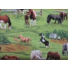 Image 2 : 12 M of New 100% Cotton Fabric - 44" Wide