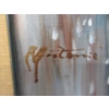 Image 2 : Abstract Paint on Canvas Wall Art 