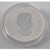 Image 3 : Half Oz .9999 Silver 2015 Maple Leaf $10 Coin 
