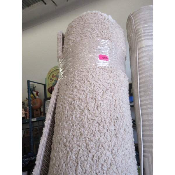 8' x 10' Beige Shag Area Carpet