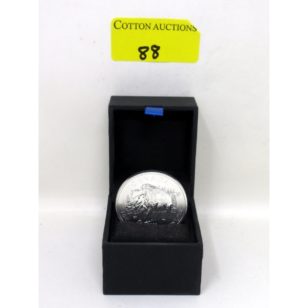 1 Oz .9999 Silver 2013 Bison Coin 