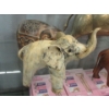 Image 5 : 1 Elephant Bank & 5 Elephant Statues 