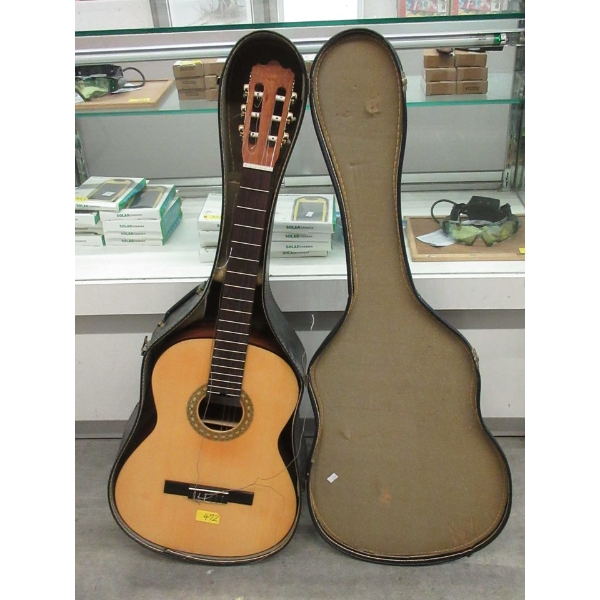 Sierra Acoustic Guitar in Case - Model: S716 