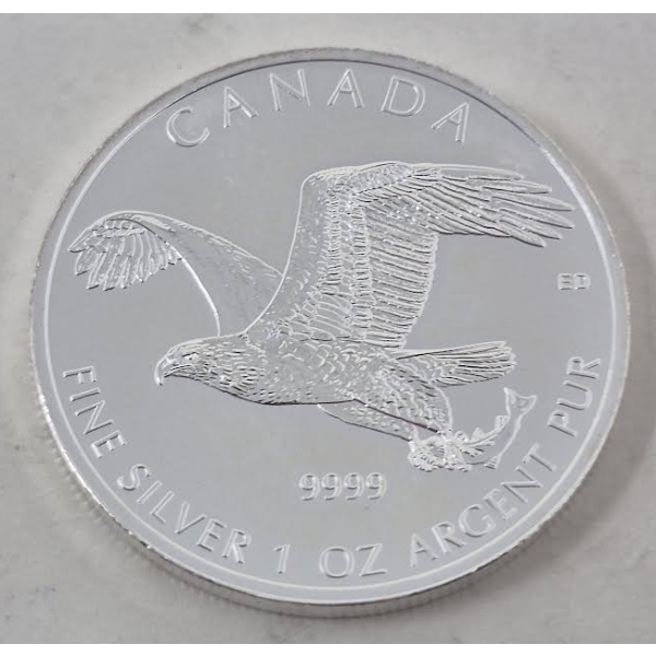 1 Oz .9999 Silver 2014 Bald Eagle Coin 