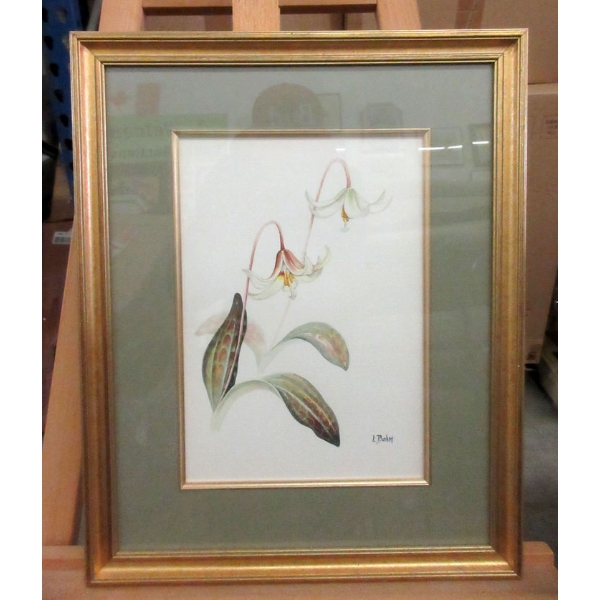 Original L. Bohm Erythronium Watercolour Painting 