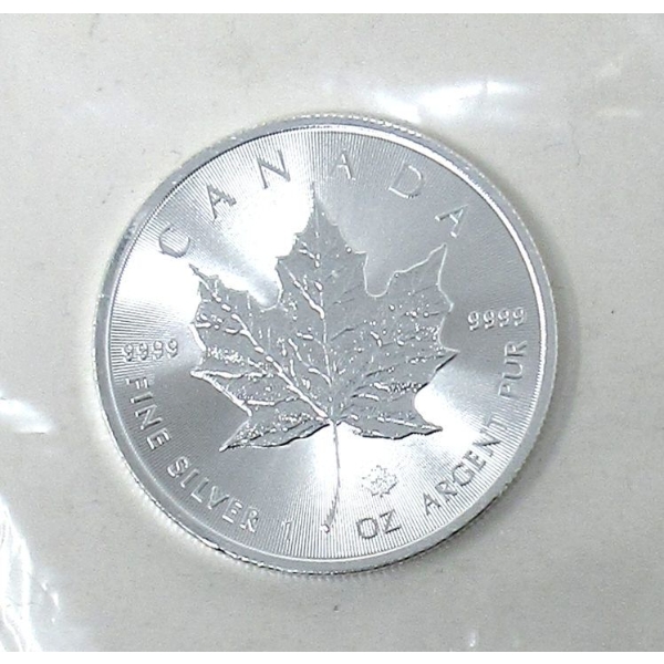1 Oz .9999 Silver 2019 Canada Maple Leaf Coin 
