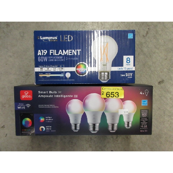 2 Boxes of Light Bulbs 