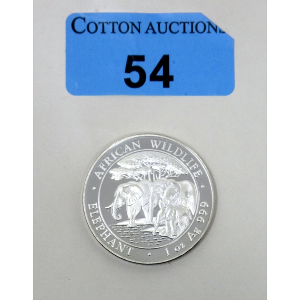 1 Oz .999 Silver 2013 African Wildlife Elephant Coin 