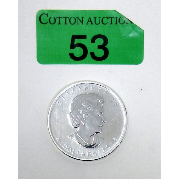1 Oz .9999 Silver 2013 Maple Leaf Coin 