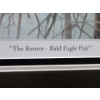 Image 4 : Variety Club Robert Bateman Framed Print