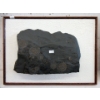 Image 1 : Ammonite Fossil Formation Mounted on Board