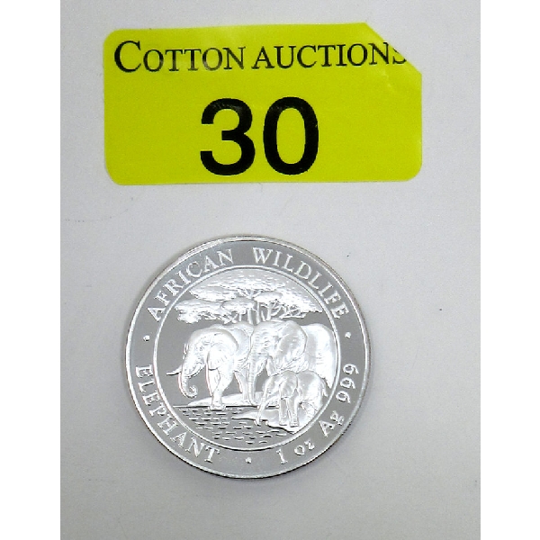 1 Oz .999 Silver 2013 African Wildlife Elephant Coin 