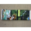 Image 1 : 4.5 M of New 100% Cotton Fabric - 44" Wide