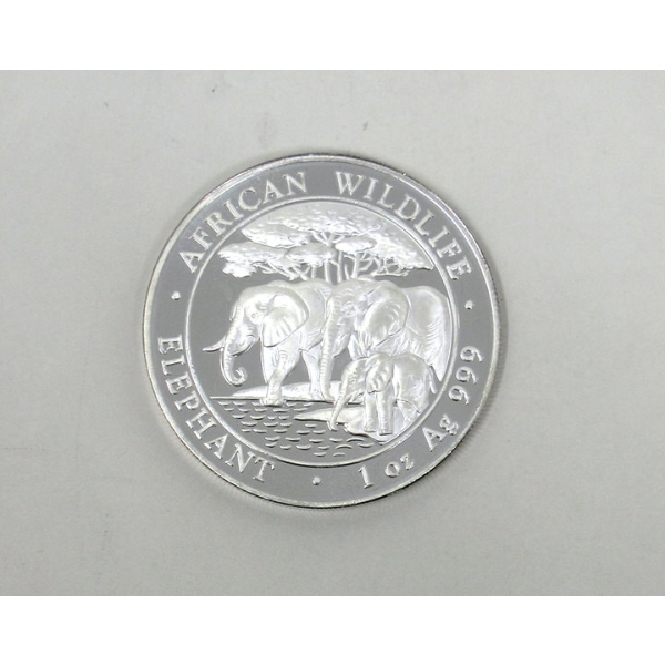 1 Oz .999 Silver 2013 African Wildlife Elephant Coin 
