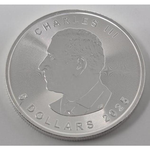 1 Oz .9999 Silver 2025 Canada Maple Leaf Coin 
