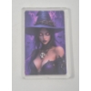 Image 3 : 2 x 1 Oz .999 Copper Vixens Series Art Bars