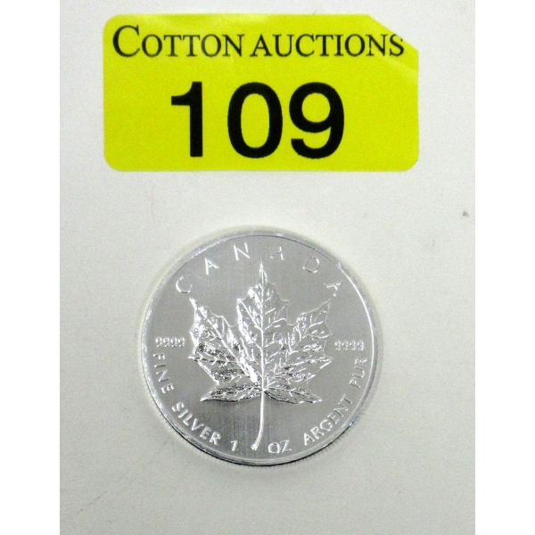 1 Oz .9999 Silver 2013 Maple Leaf Coin 